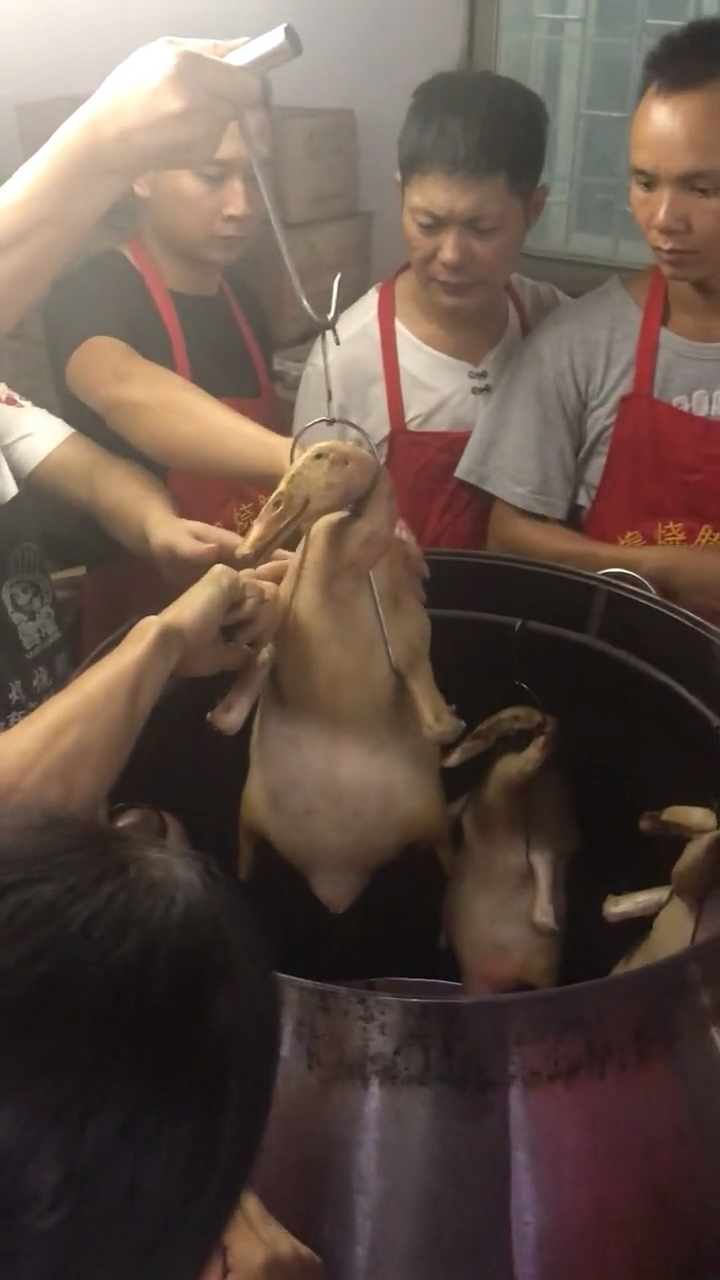 烧鸭培训.烧腊师傅告诉你鸭胚入炉.什么情况下可以烧制