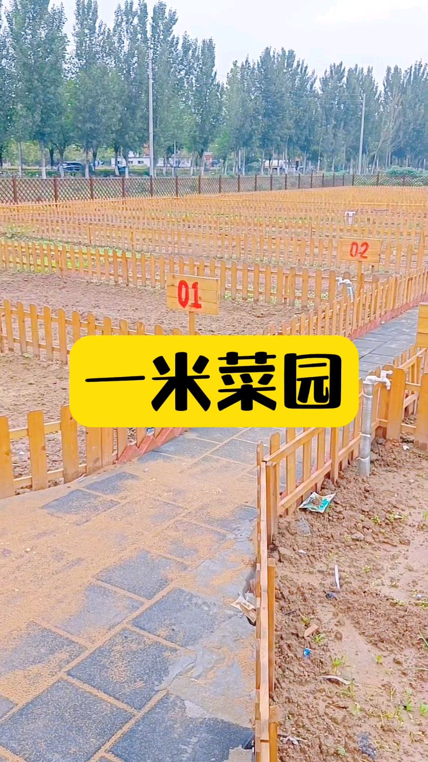 农庄打造一米菜园,这个模式你觉得怎么样?