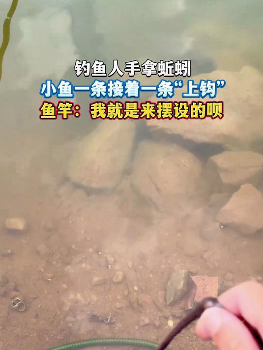 钓鱼人手拿蚯蚓,小鱼一条接着一条“上钩”,鱼竿:我就是来摆设的呗
