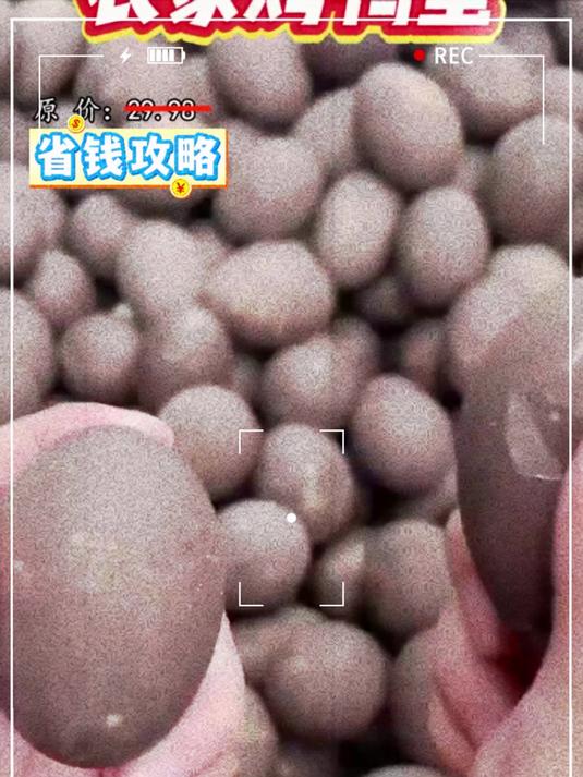 微山湖烤鸭蛋!流心起沙,香到停不下来