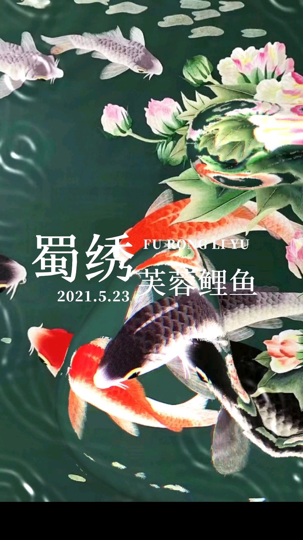 这是蜀绣的经典作品:芙蓉鲤鱼,寓意深远,代表花开富贵,连年有余