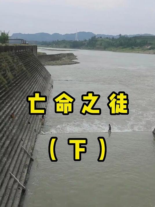 为了这些沙鳅铤而走险，挡获的鱼货你认识多少