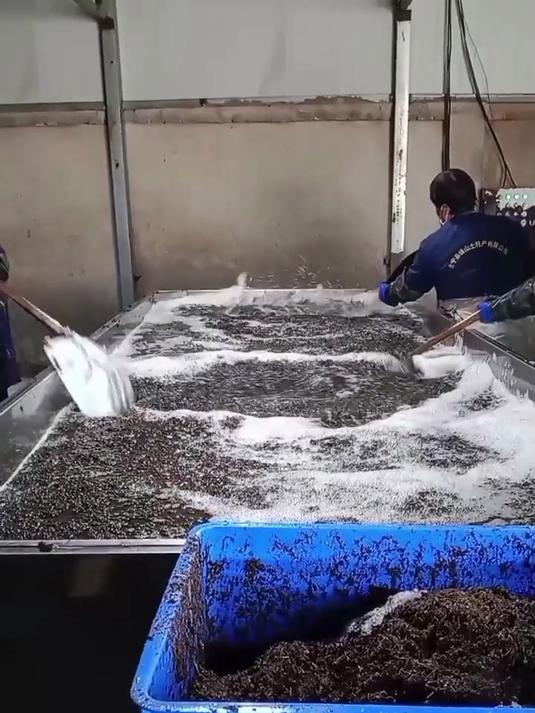 解锁地皮菜新吃法,美味超乎想象