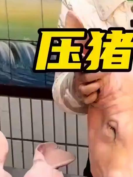 我有一个小方法，压出猪头肉肥瘦相间「愉快」