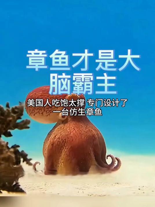 如果我有章鱼那样九个大脑 是不是就能同时上九个班