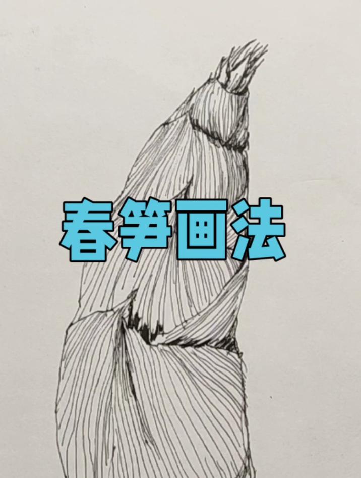 线描春笋的画法,步骤简单好看