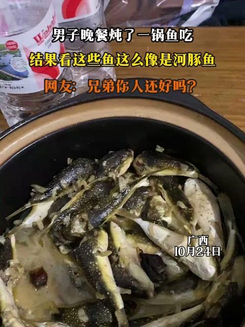男子晚餐炖了一锅鱼吃，结果看这些鱼这么像是河豚鱼