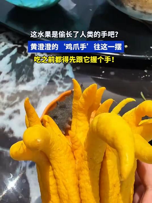 老板:这是佛手柑。我:不,这是水果界的鸡爪模仿秀冠军