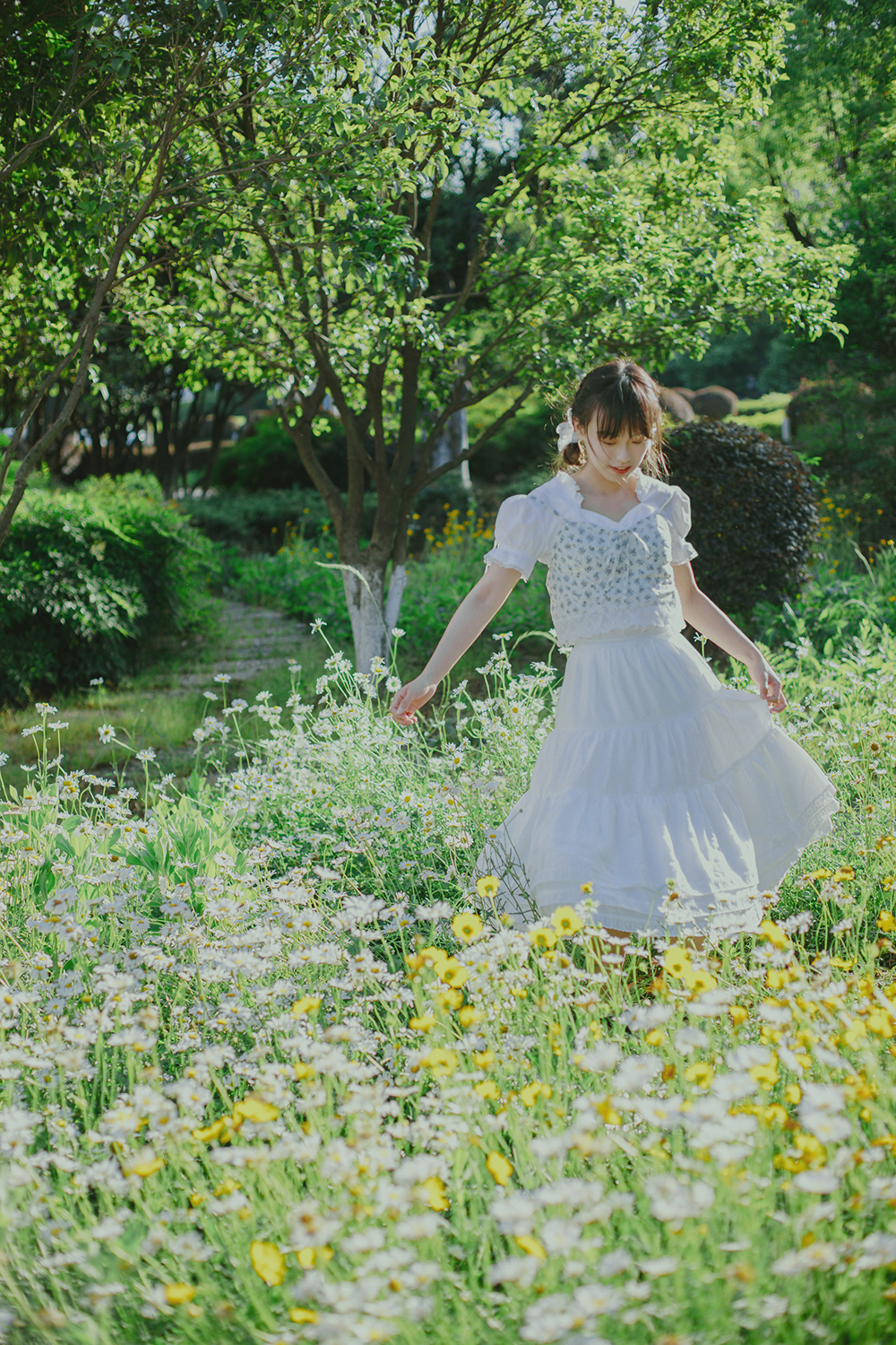 图片[16]-初夏の小雏菊Ⅱ-六色网
