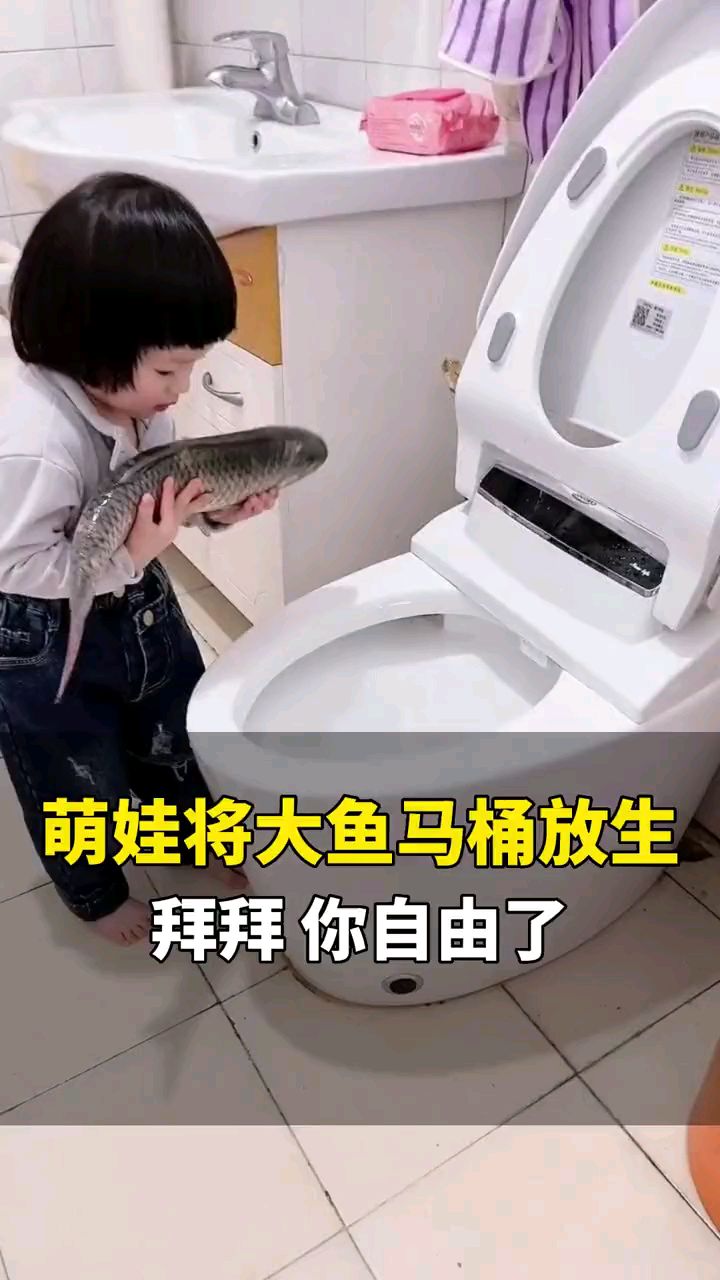 萌娃将大鱼马桶放生“你自由啦”,大鱼:自由?我明明是卡头了!