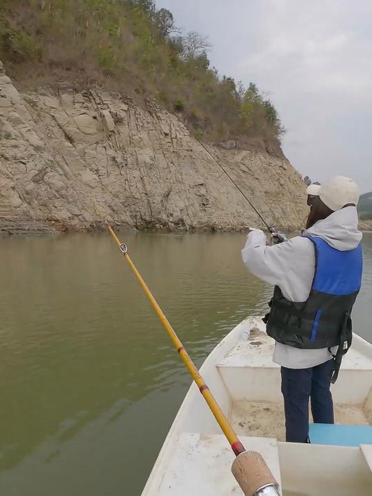 帅小伙带女友远赴云南边境,寻找稀有蓝色神仙鱼种