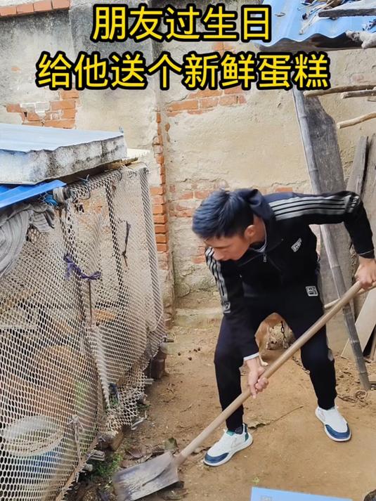 朋友过生日,给他送个新鲜蛋糕
