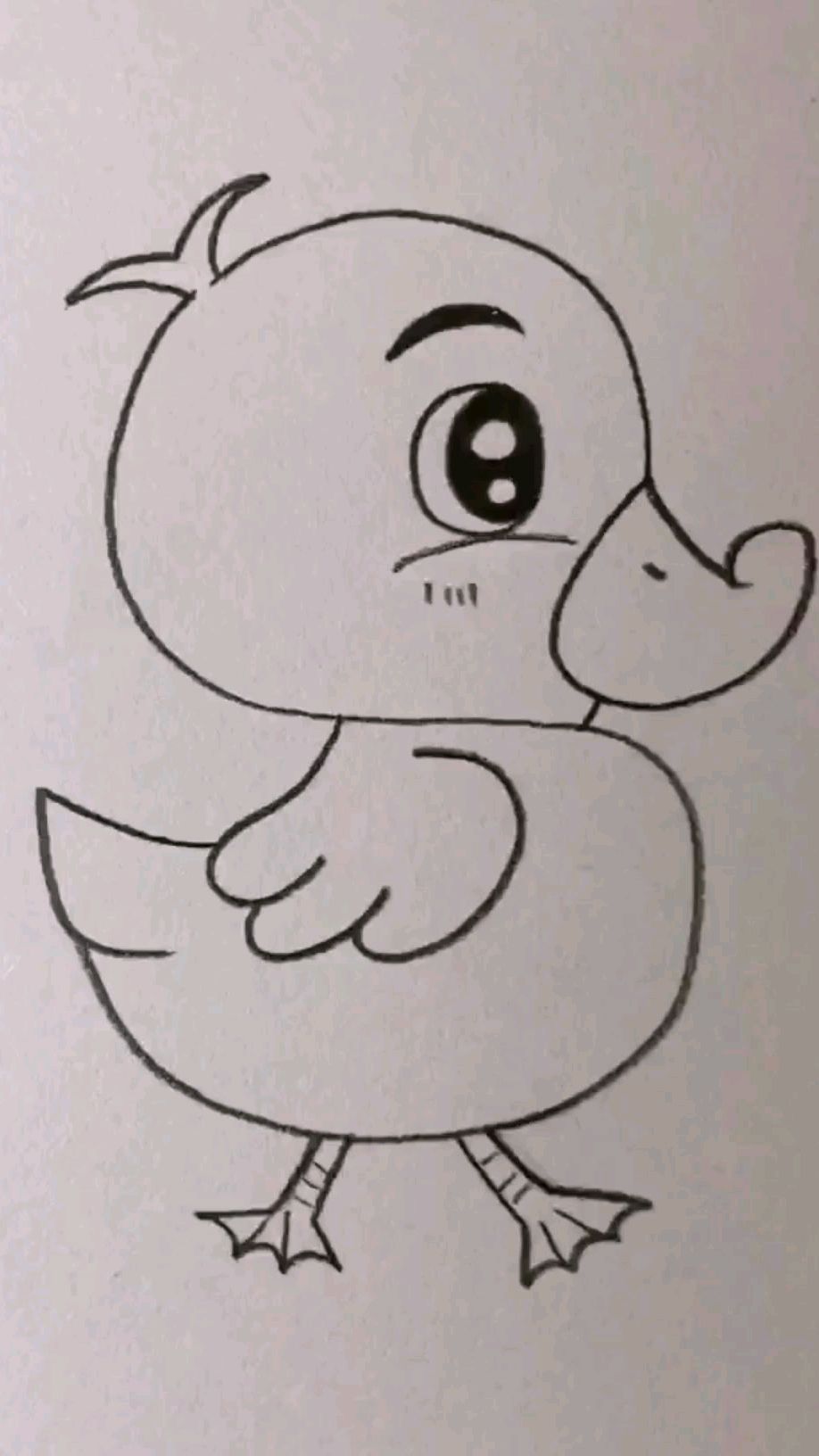 彩色铅笔画:画一只小鸭子