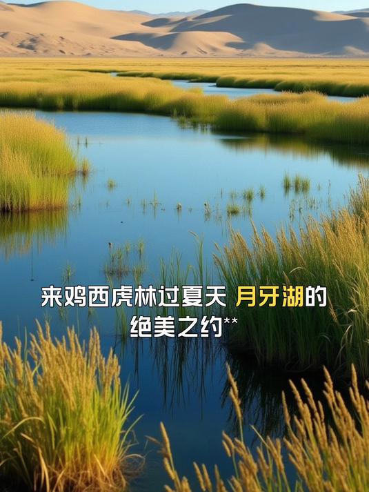 月牙湖的绝美之约，来鸡西虎林过夏天