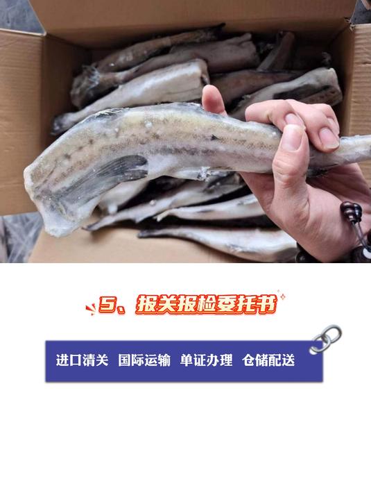 俄罗斯狭鳕鱼进口报关单证资料