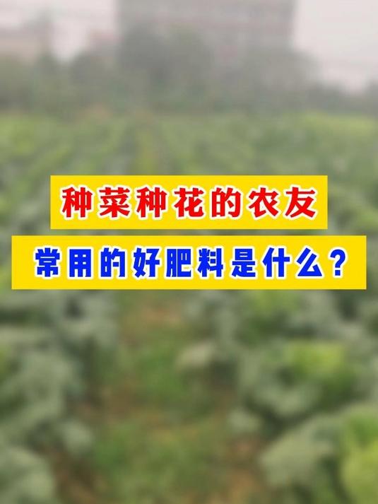 一个视频告诉你种菜种花的农友常用的好肥料是什么?