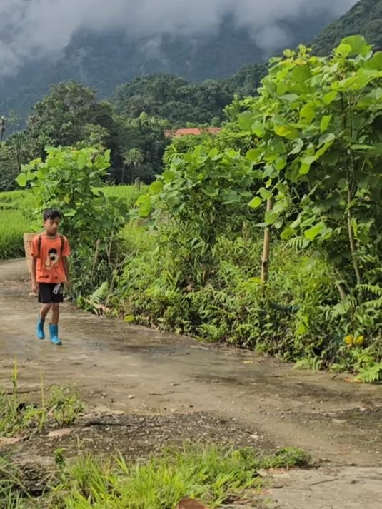 小凯用竹子制作鱼竿,钓到几十斤大鱼