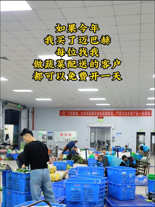 深圳伟泰发，新鲜蔬菜从田间直达餐桌 深圳农产品配送#深圳农产品供应链 #深圳平台送菜