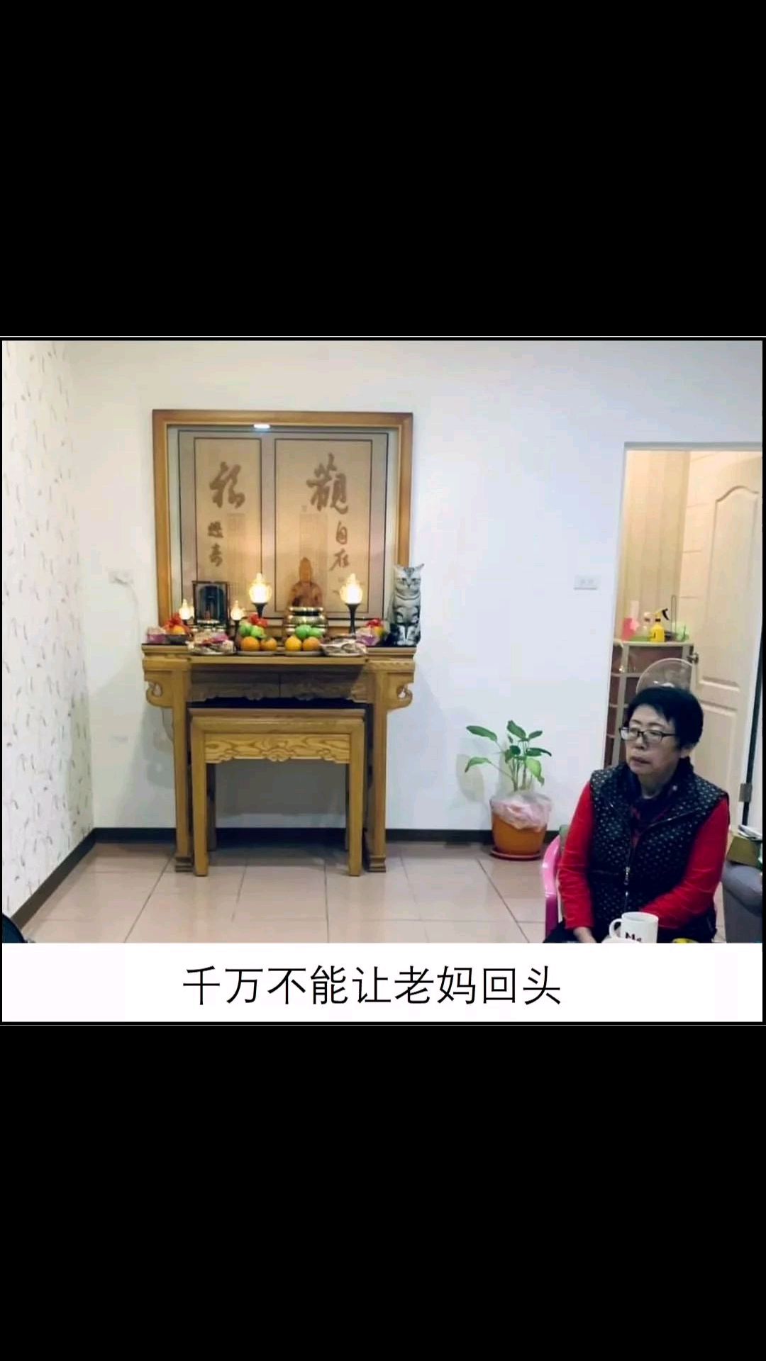 猫:别拜菩萨了,拜我吧