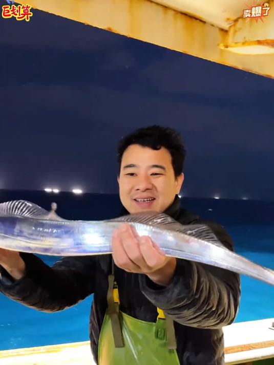 北方冷水海域的小眼油带鱼去头去尾好吃方便又实惠