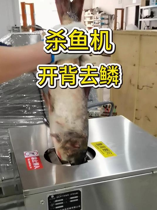 #厨房神器##杀鱼机##水产##餐饮#