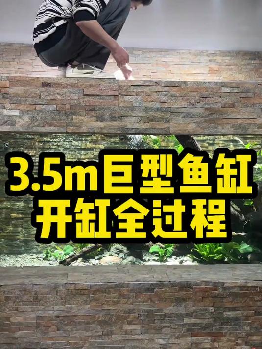 3.5米巨型鱼缸开缸制作全过程!