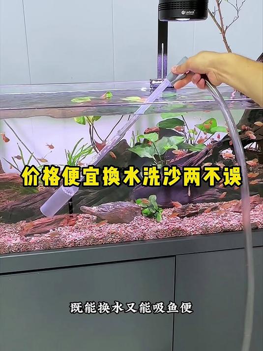 多功能鱼缸吸便器，虹吸原理快速抽水排污，洗沙吸便两用，软管适配各类缸体，日常换水清洁神器#