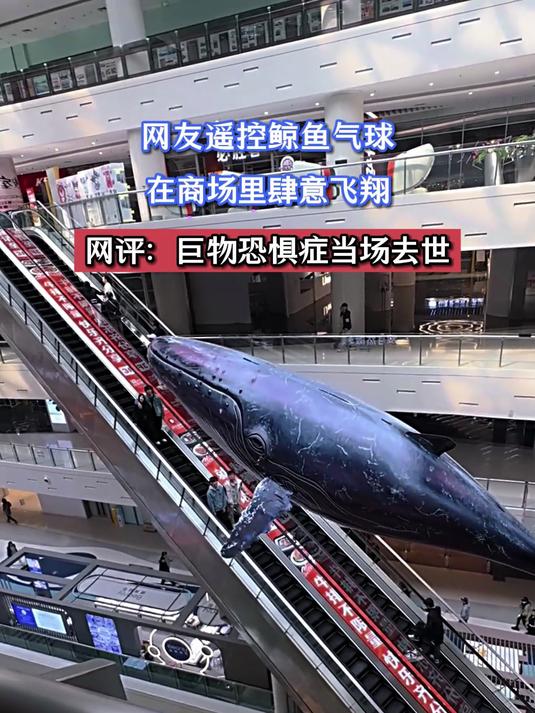 网友遥控鲸鱼气球,在商场里肆意飞翔,网评:巨物恐惧症当场去世