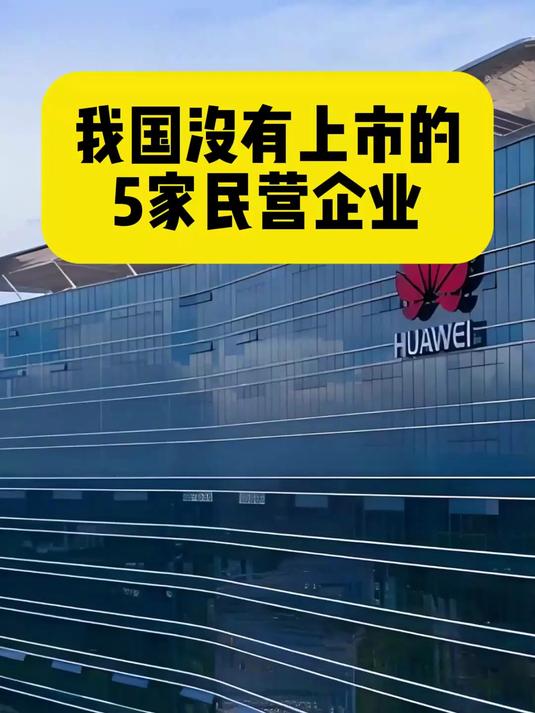 我国没有上市的5家民营企业