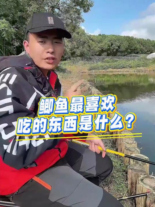 老 G 饿得慌拉饵!腥臭香味鲮鱼鲫鱼通杀,可搓可拉钓鱼超靠谱