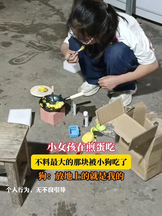 小女孩在煎蛋吃,不料最大的那块被小狗吃了,狗:地上的就是我的