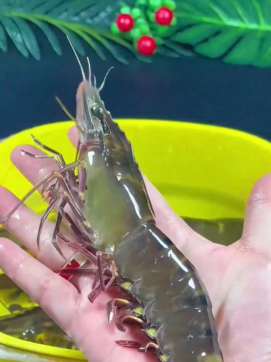 超大黑虎虾上新！鲜甜味美，全家爱？