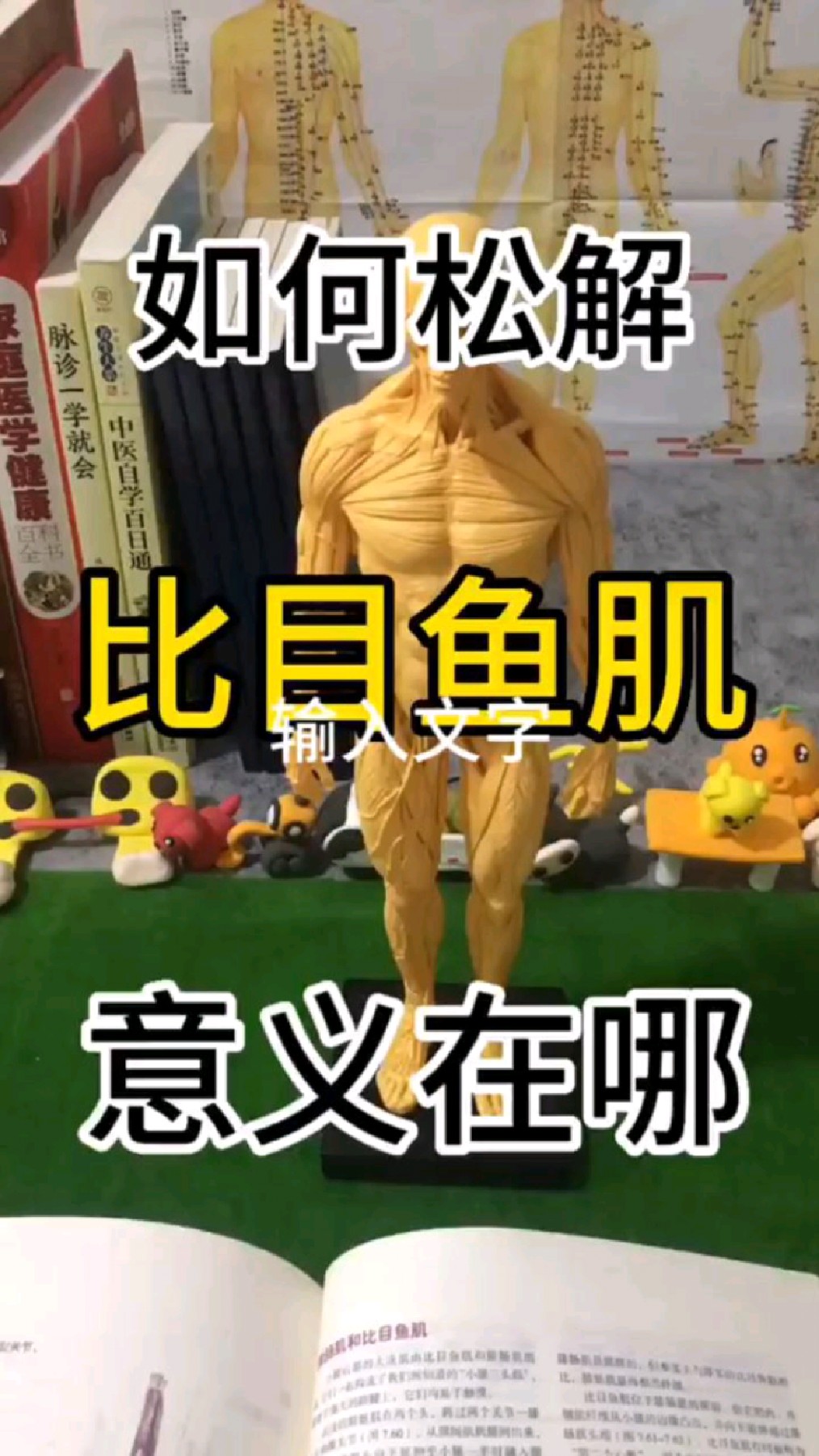 什么是比目鱼肌?松解这条肌肉的意义你可能不知道