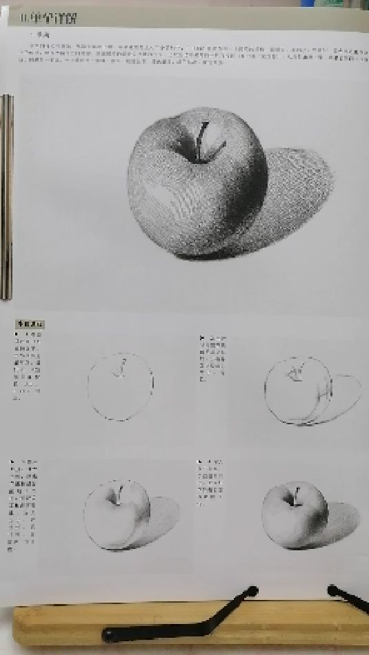 当代国画家徐鹤～美术高考素描静物基础教程:苹果