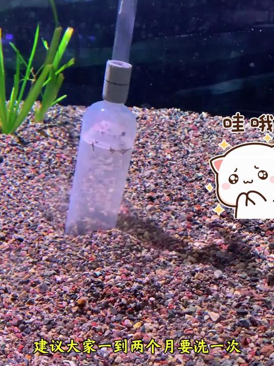 手动抽鱼便吸污器！鱼缸虹吸洗沙器，清洁软管神器，清理不费力