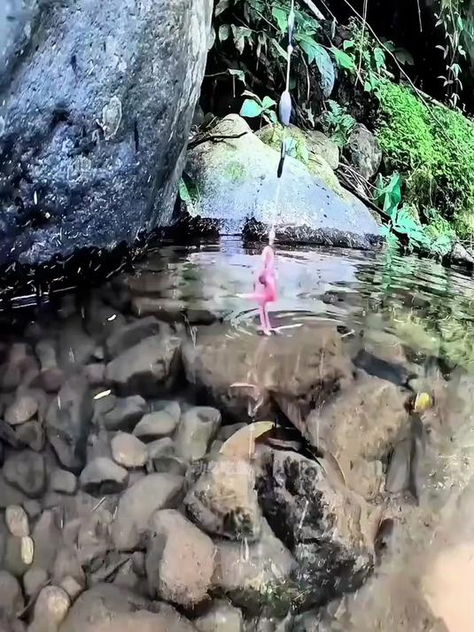 水下摄像头高清实拍溪鱼咬钩