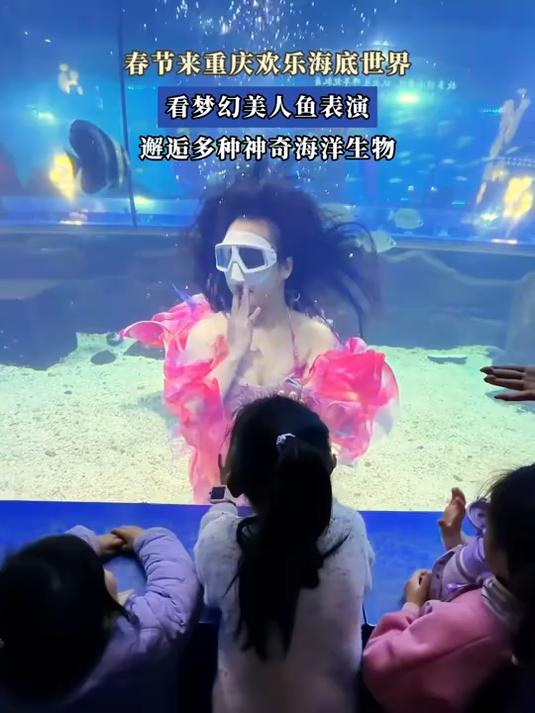 春节来重庆欢乐海底世界,看梦幻美人鱼表演,邂逅多种神奇海洋生物#马上就出发#