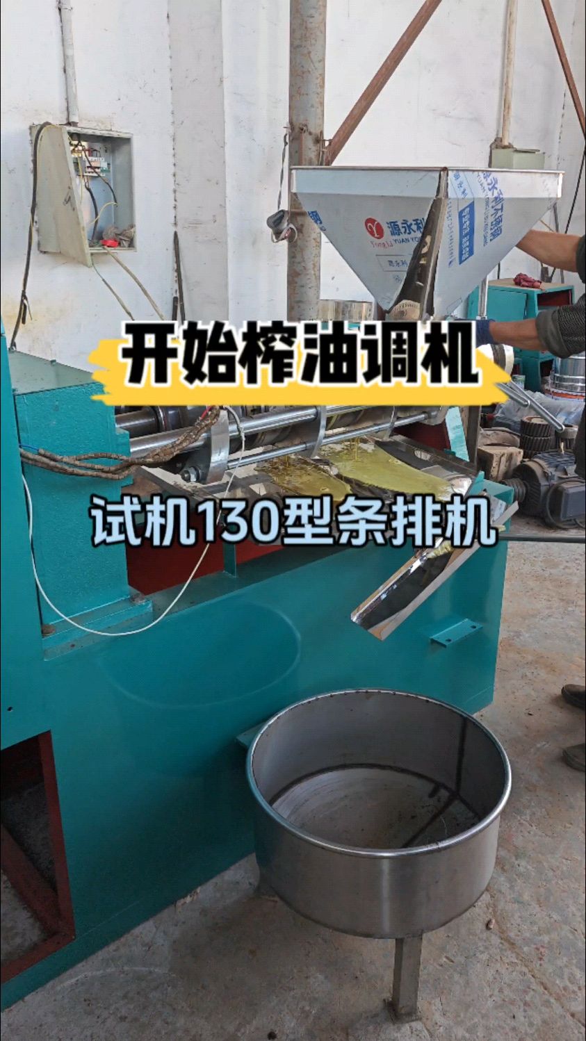 130型螺旋榨油机出厂前榨菜籽油磨合机器