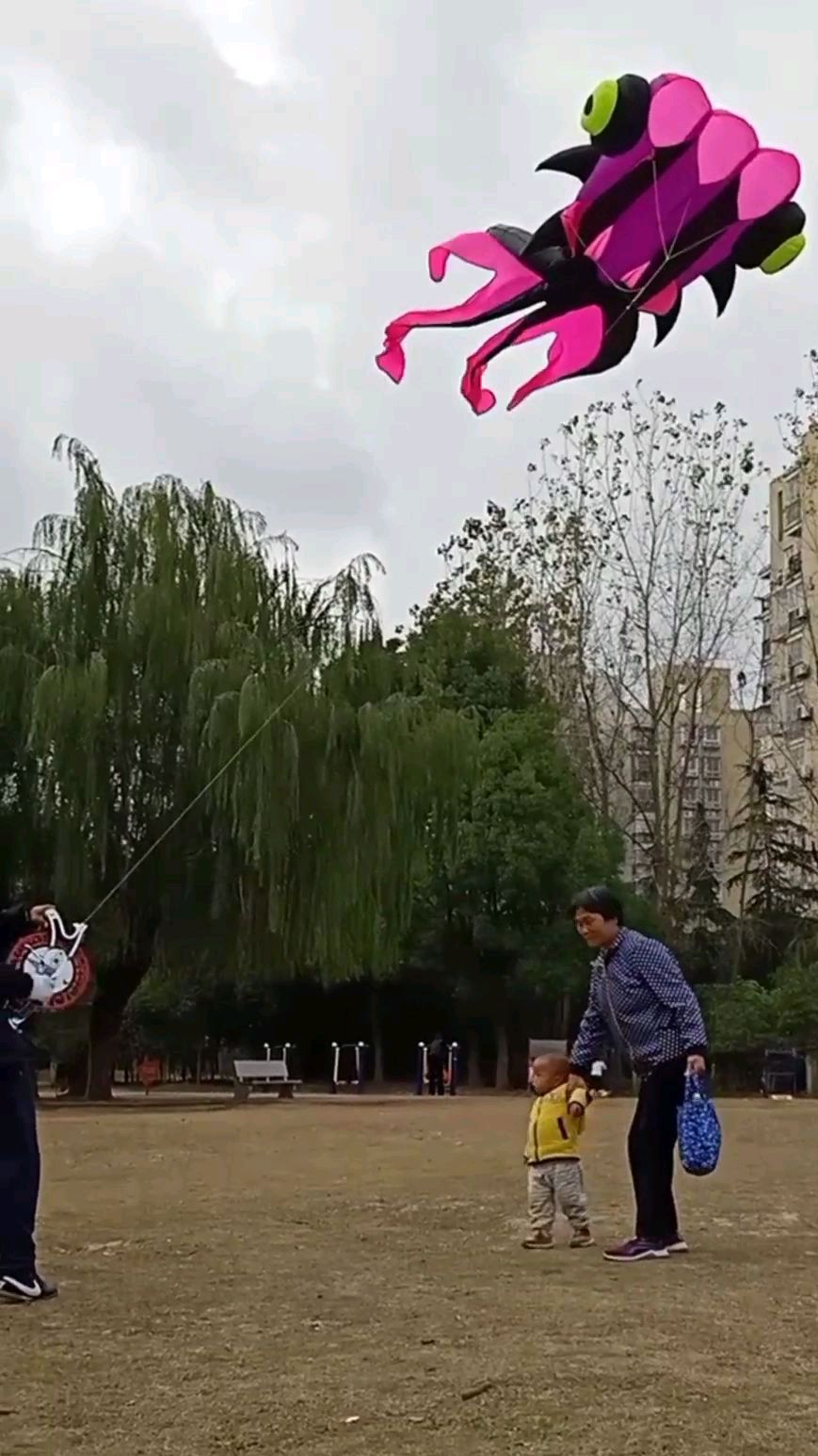 佑佑在公园,发现一个五米长的金鱼风筝