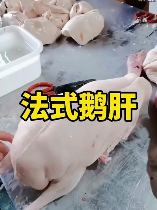 顶级食材,法式鹅肝