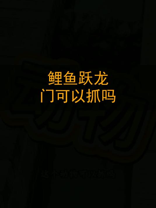 鲤鱼跃龙门可以抓吗？