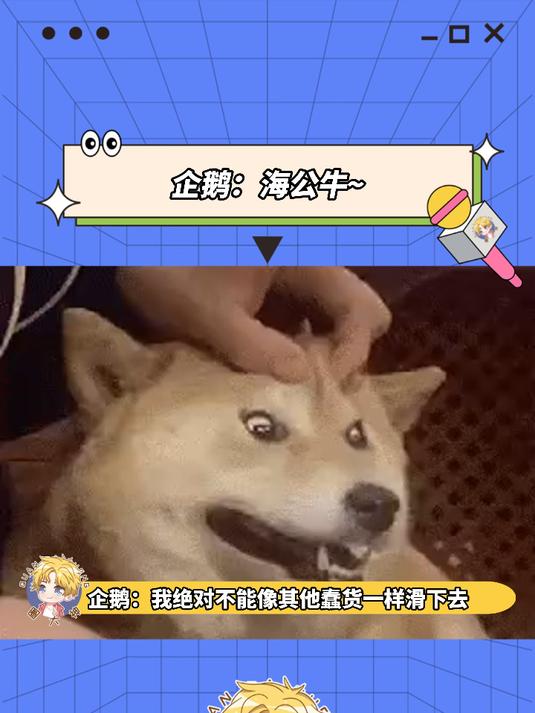企鹅:耍帅失败!搞笑