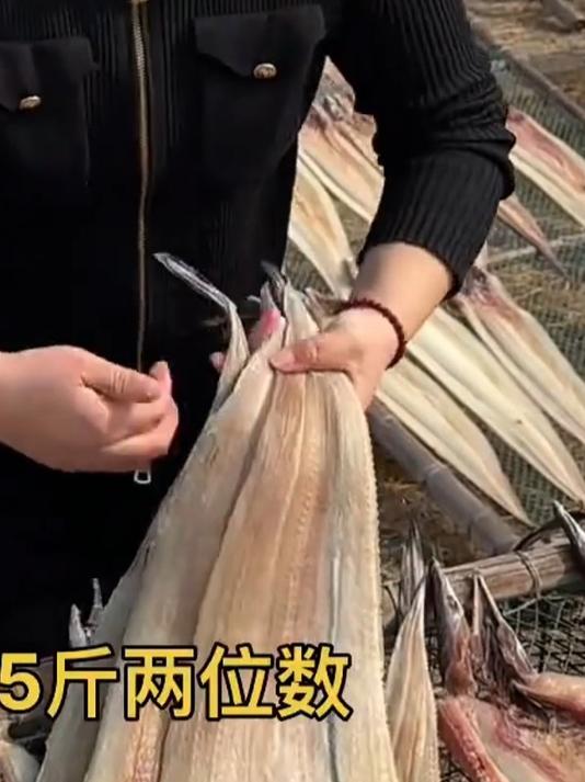 无盐淡晒鳗鱼干东海鳗鱼干新晒鳗鱼干鲜度好去头尾切段鳗鱼干!