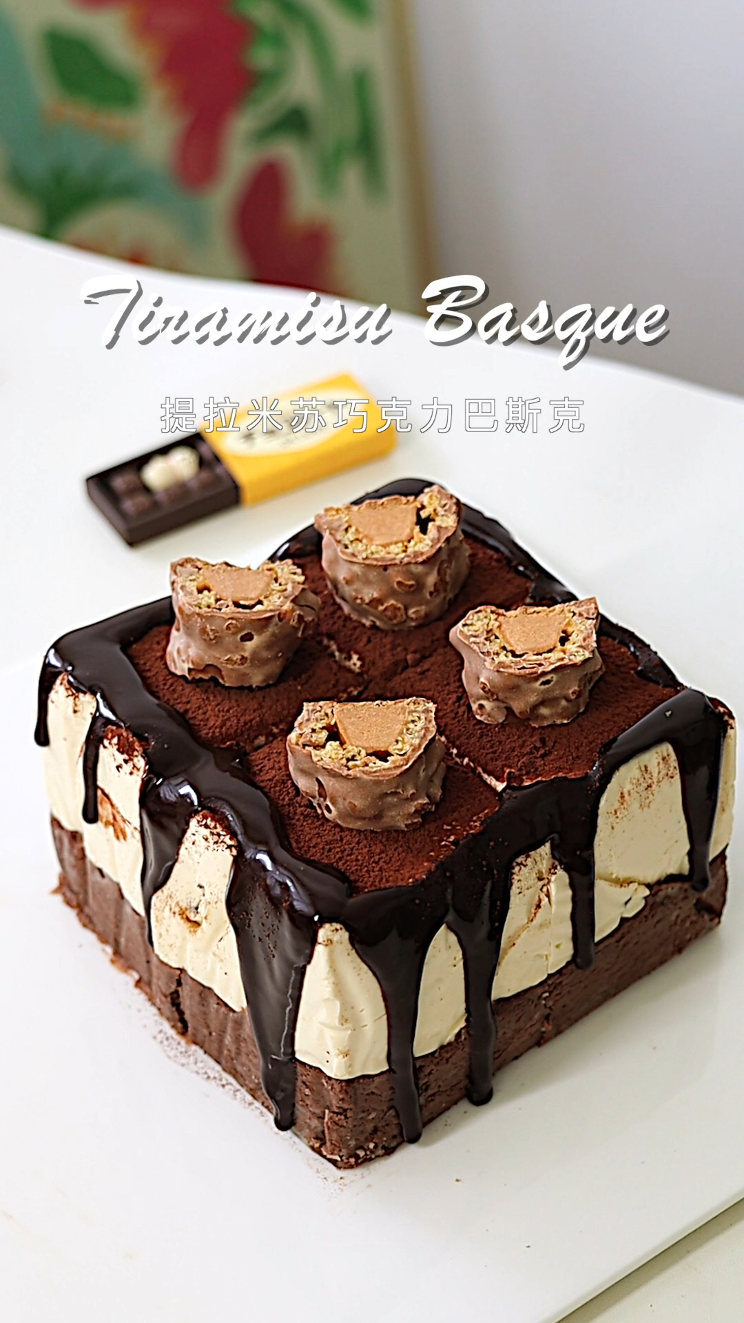 提拉米苏巴斯克芝士蛋糕醇香浓郁敲好吃