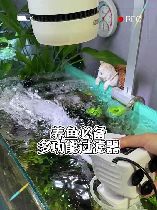 鱼缸过滤器过滤循环水泵制氧一体机净水三合一氧气泵小型超静音小