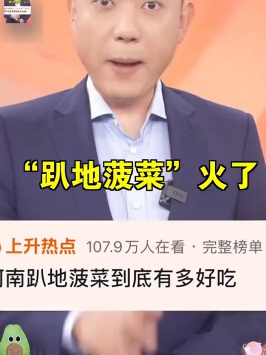 河南霜打趴地菠菜，红根厚叶清甜无涩，清炒免焯水