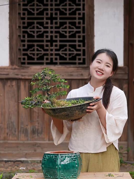 你们都用过什么奇怪的盆来种盆景?