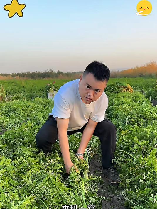 又脆又甜生吃煲汤炒菜凉拌都好吃黄胡萝卜