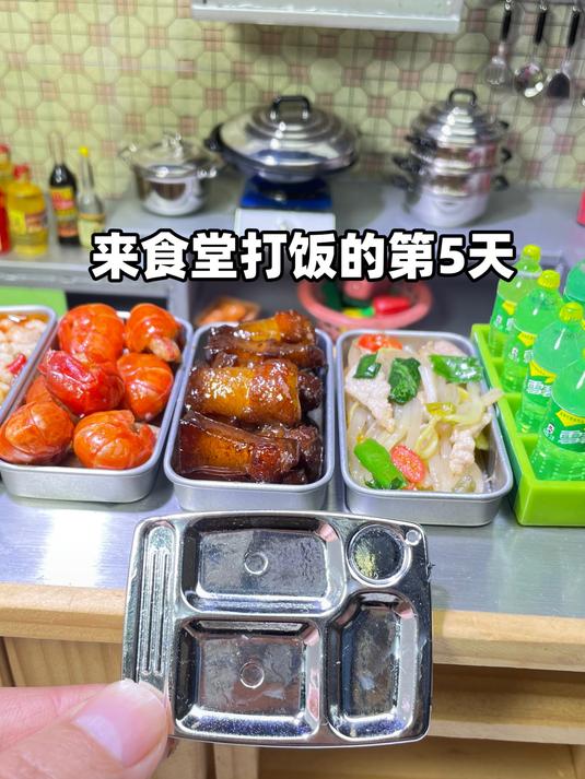 来食堂打饭的第5天