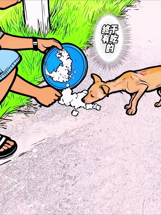 小哥每天都会打包吃剩下的炒饭,请附近的狗狗们吃 万物有灵